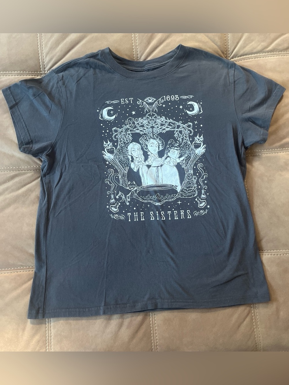 Disney Hocus Pocus Gray Graphic Tee "The Sisters"